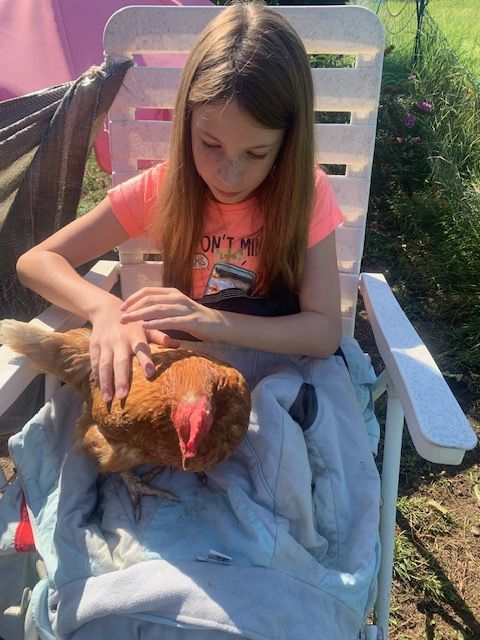 Gemeinde Raisting - Ferienprogramm, "Ich wollt', ich wär (k)ein Huhn"