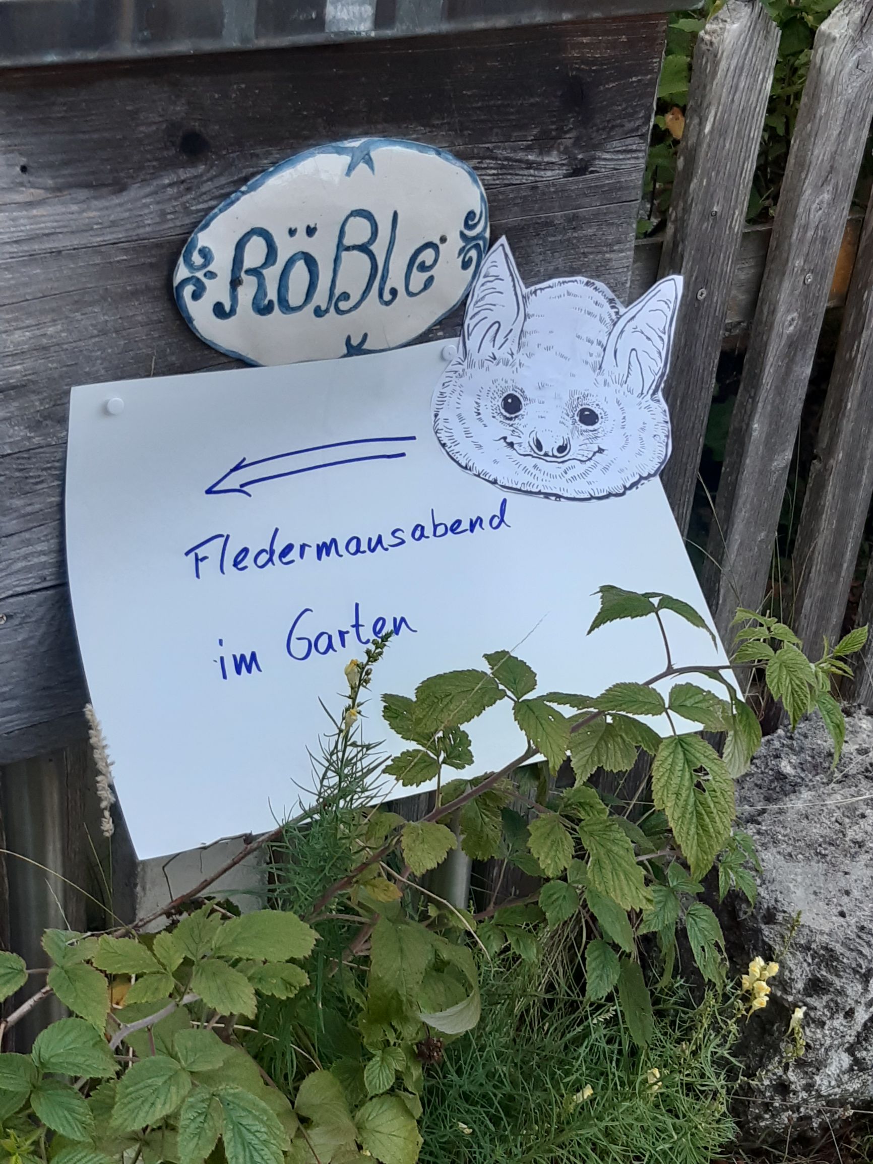Gemeinde Raisting - Ferienprogramm, Wir beobachten Fledermäuse machen ihren Ruf hörbar u erfahren viel über ihr heimliches Leben 20.8.26